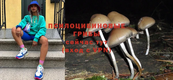 МДПВ Нязепетровск