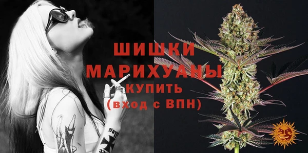 МДПВ Нязепетровск
