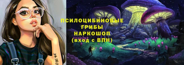 МДПВ Нязепетровск